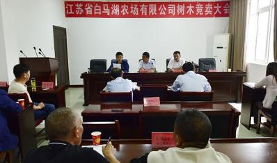 农场公司成功竞卖一批林木